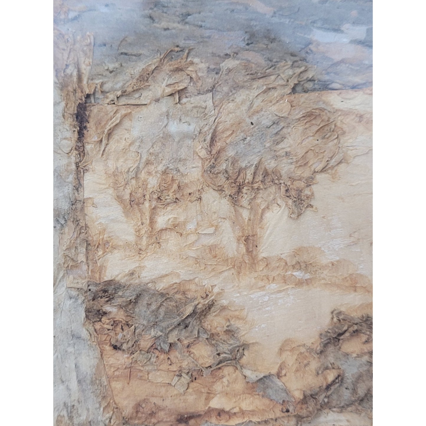 Agnes Richardson Tree Bark Australian Landscape