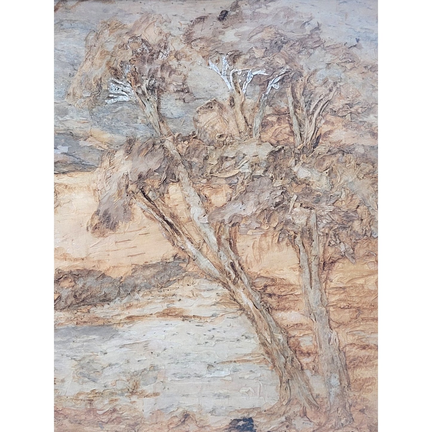 Agnes Richardson Tree Bark Australian Landscape