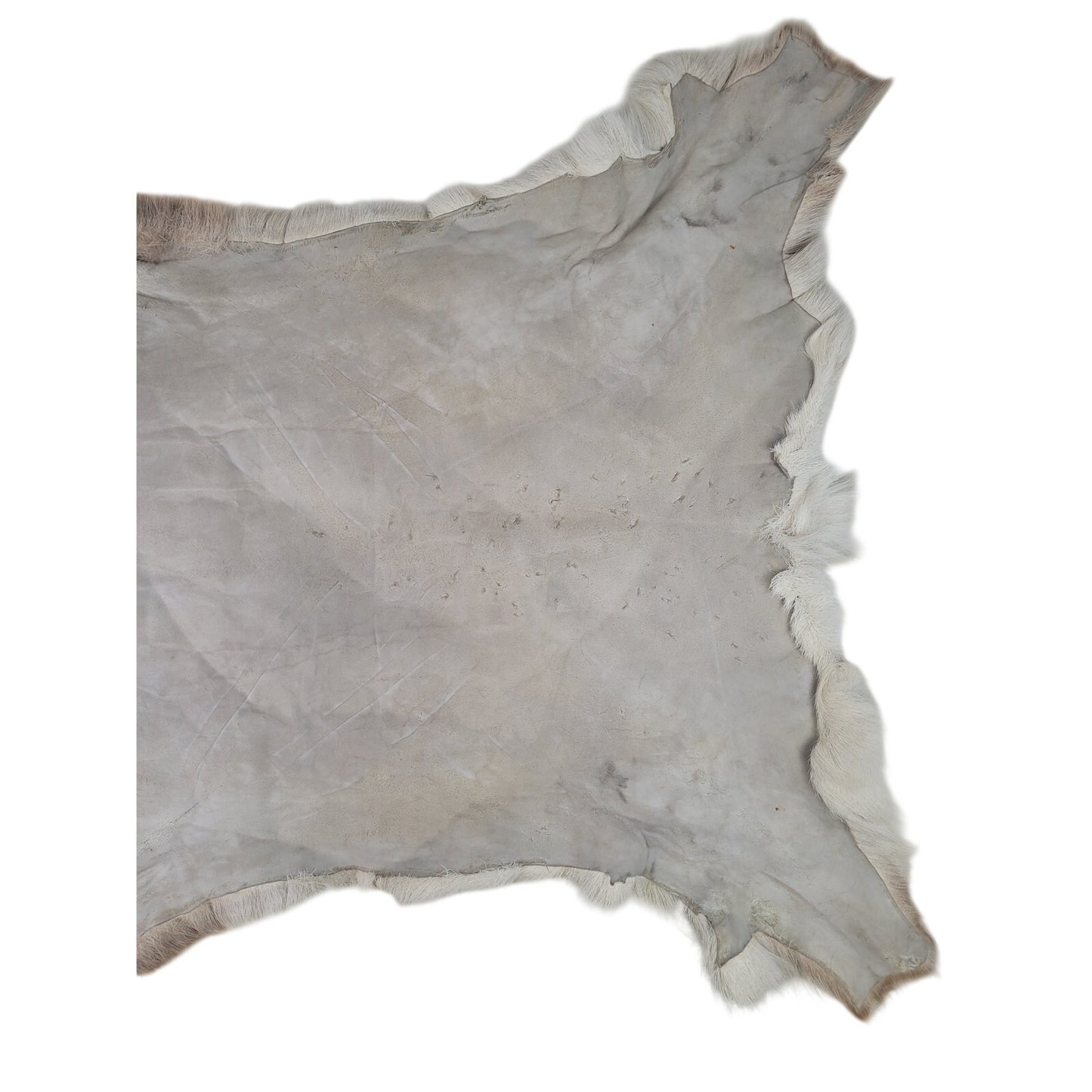 Hair On Deerskin Hide Rug Rustic Home Decor 50X43