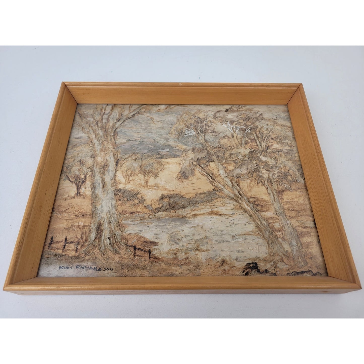 Agnes Richardson Tree Bark Australian Landscape