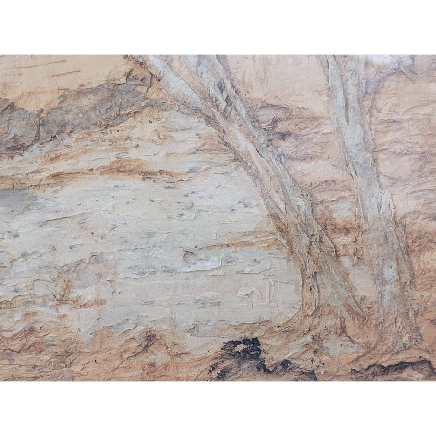 Agnes Richardson Tree Bark Australian Landscape