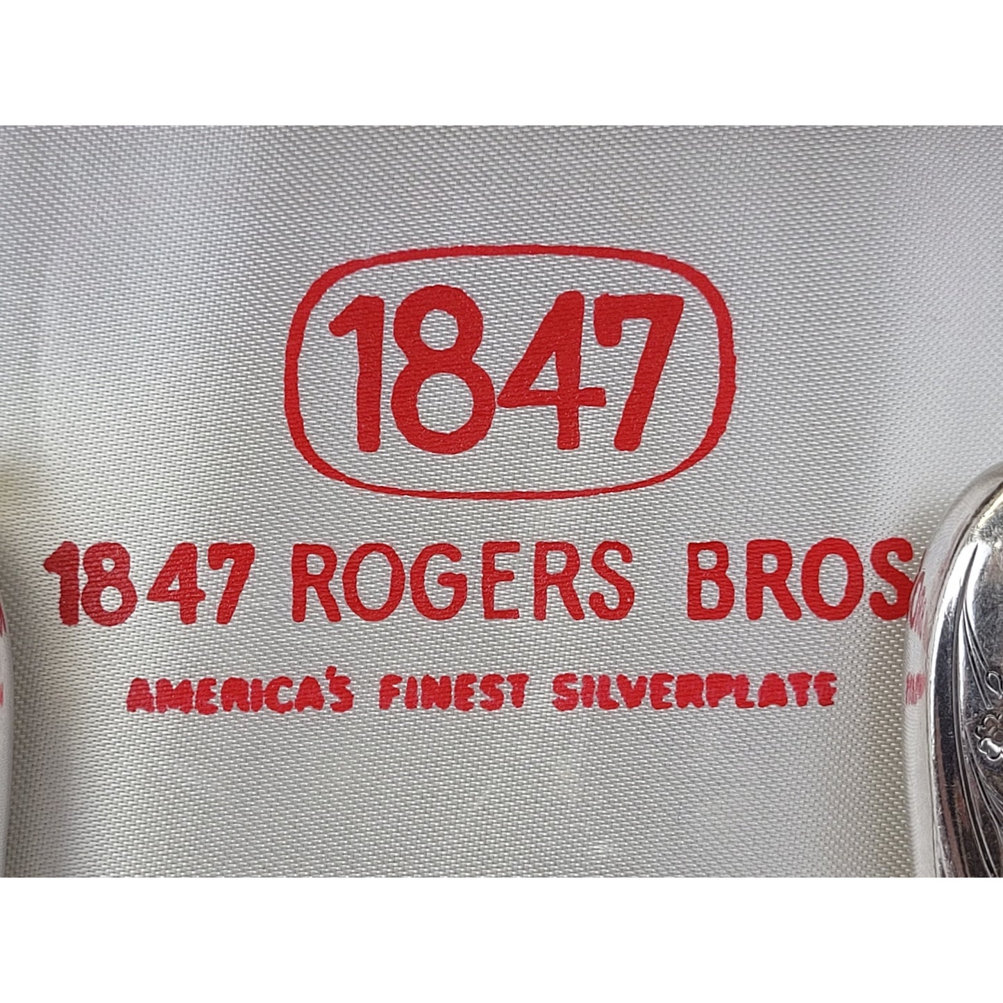 VTG 1847 Rogers Bros. Springtime Silver-Plated Flatware Set - 61 Pieces