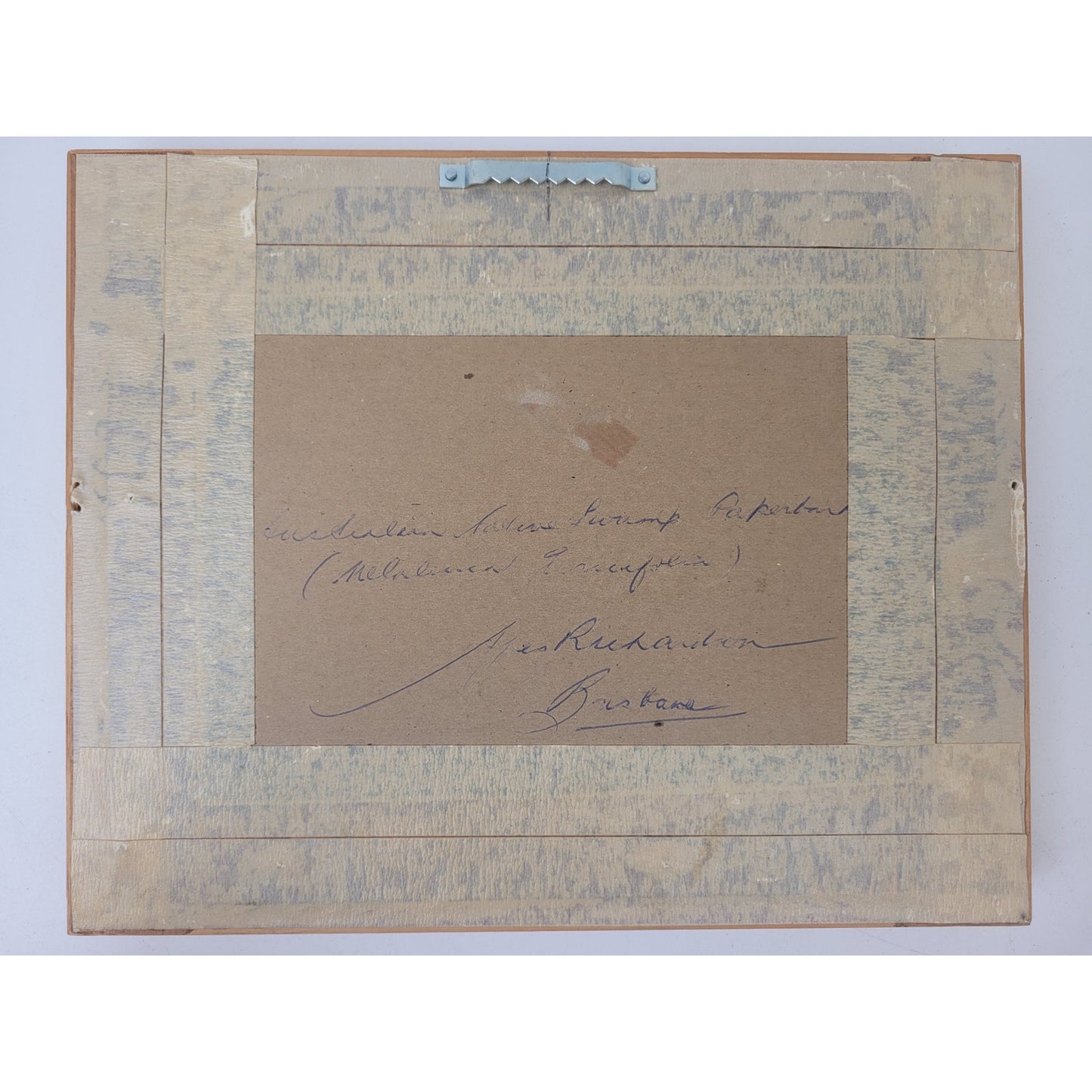 Agnes Richardson Tree Bark Australian Landscape