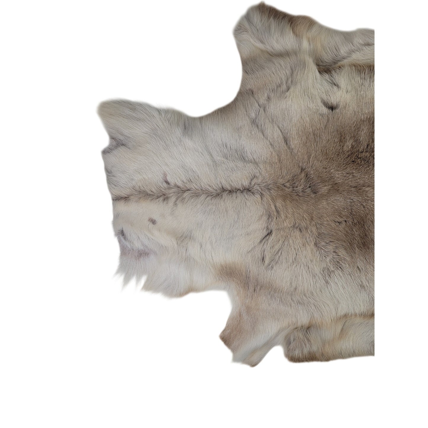 Hair On Deerskin Hide Rug Rustic Home Decor 50X43