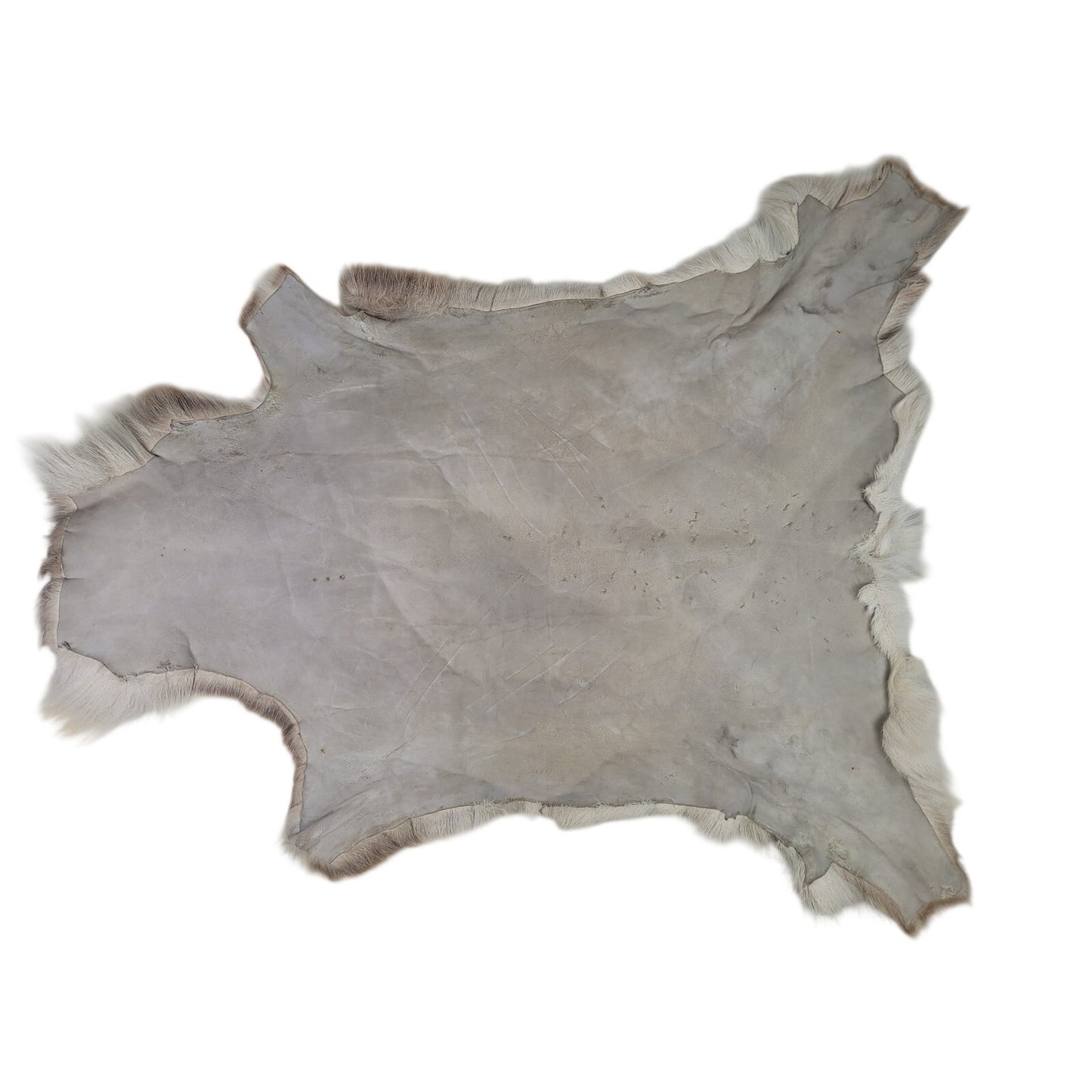 Hair On Deerskin Hide Rug Rustic Home Decor 50X43