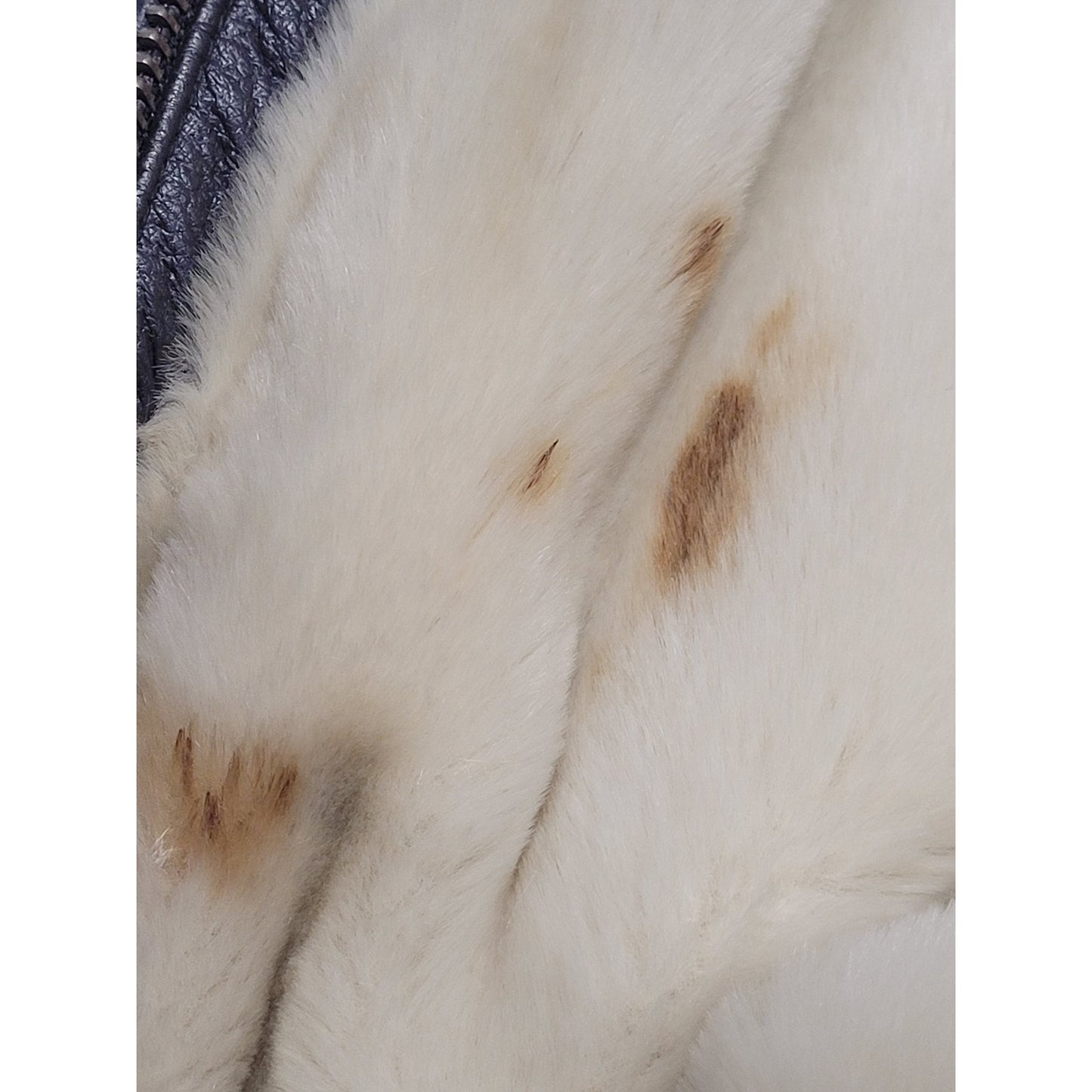 Wilsons Leather Coat Genevieve Belted Jacket Faux Fur Hooded Women's Sz 1X