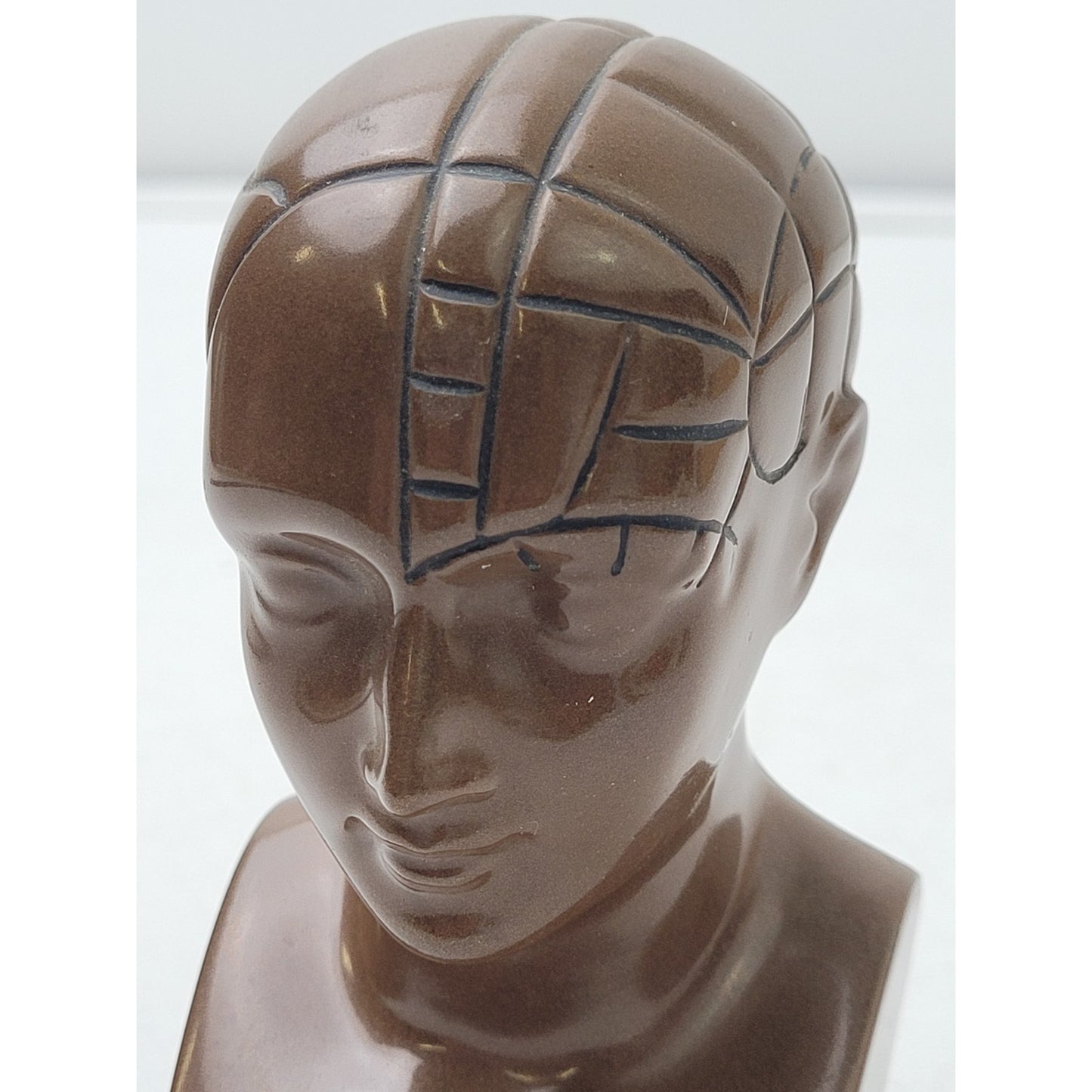 Vintage PAXIPAM Halazfpam Phrenology Head Bust Pharmaceutical Paperweight