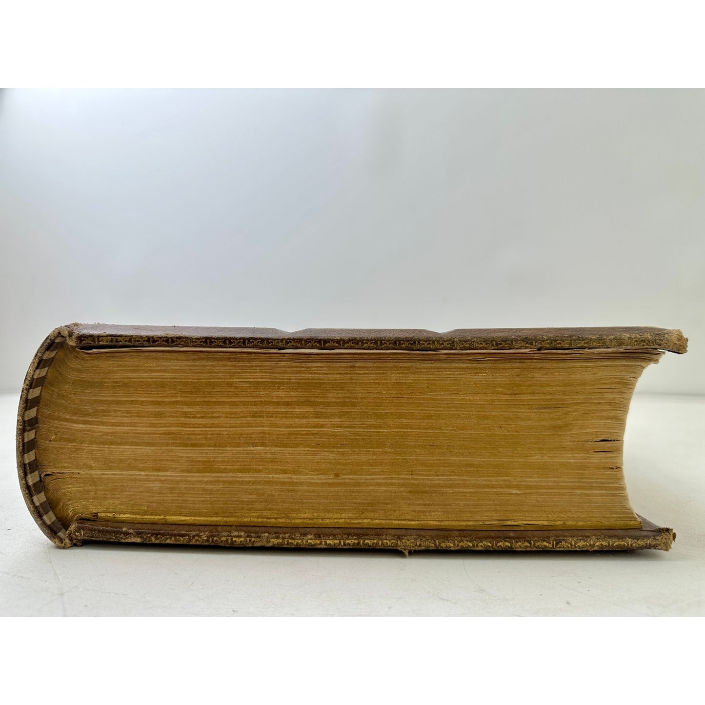 Antique 1870s Leather Pictorial Family Bible Gilt Embossed John 5:39 Cover Folio