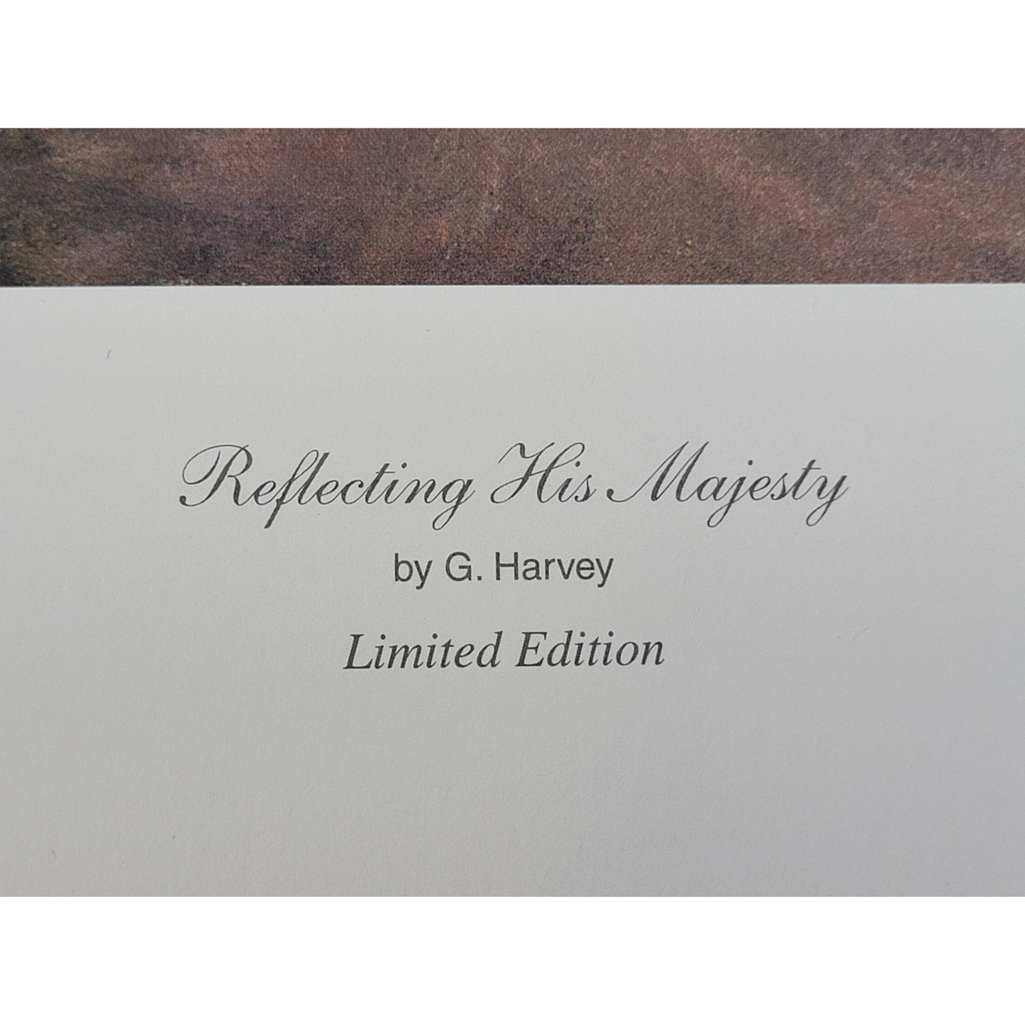 VTG 1995 G. Harvey Reflecting His Majesty Paper Art Print w COA Limited Edition