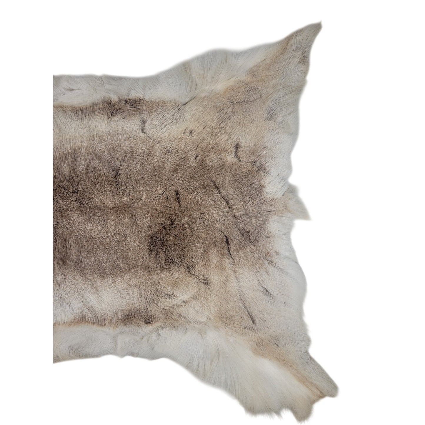 Hair On Deerskin Hide Rug Rustic Home Decor 50X43