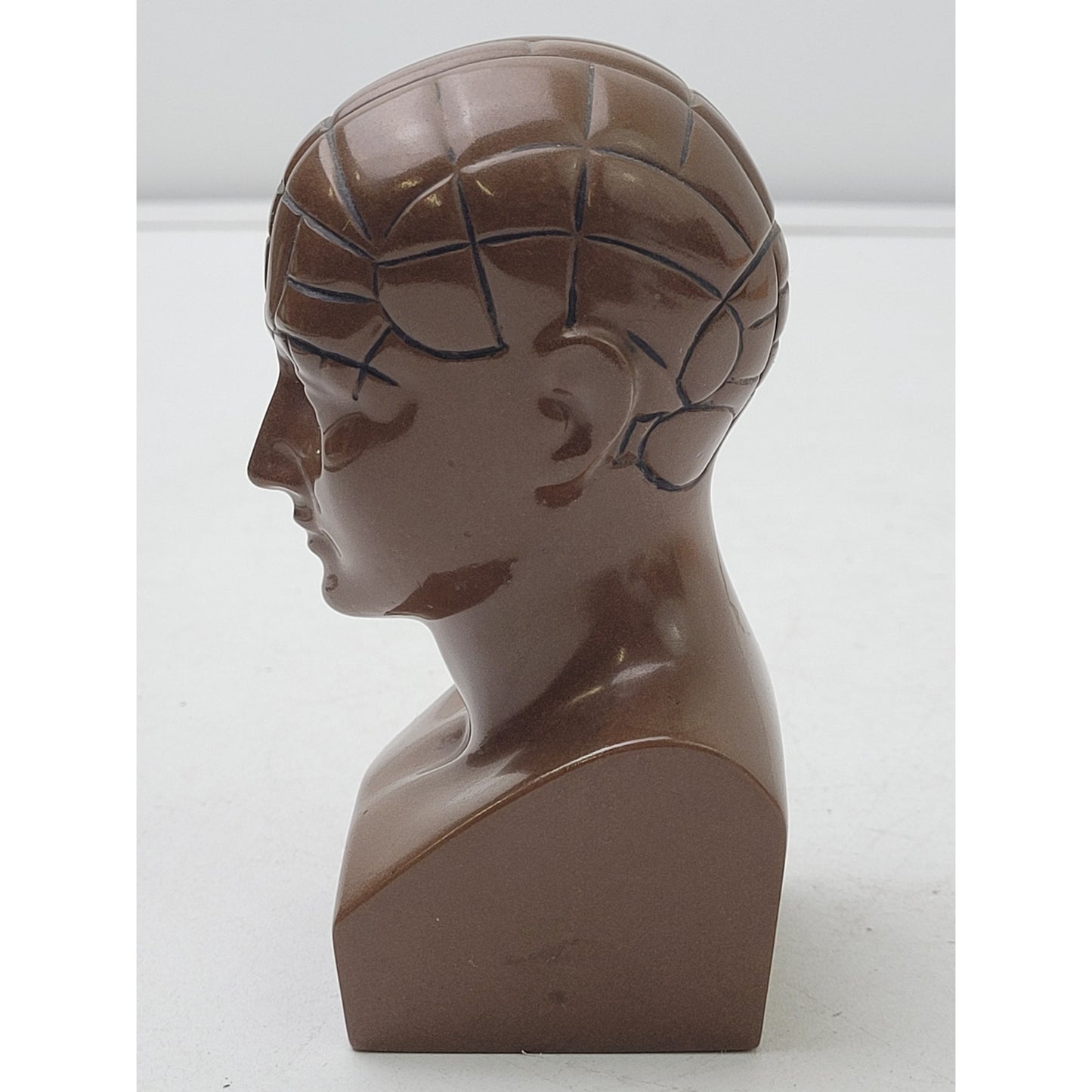 Vintage PAXIPAM Halazfpam Phrenology Head Bust Pharmaceutical Paperweight