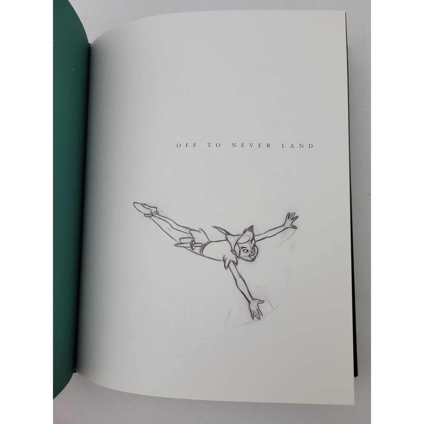Walt Disney's Peter Pan: The Sketchbook Series (Hardcover)