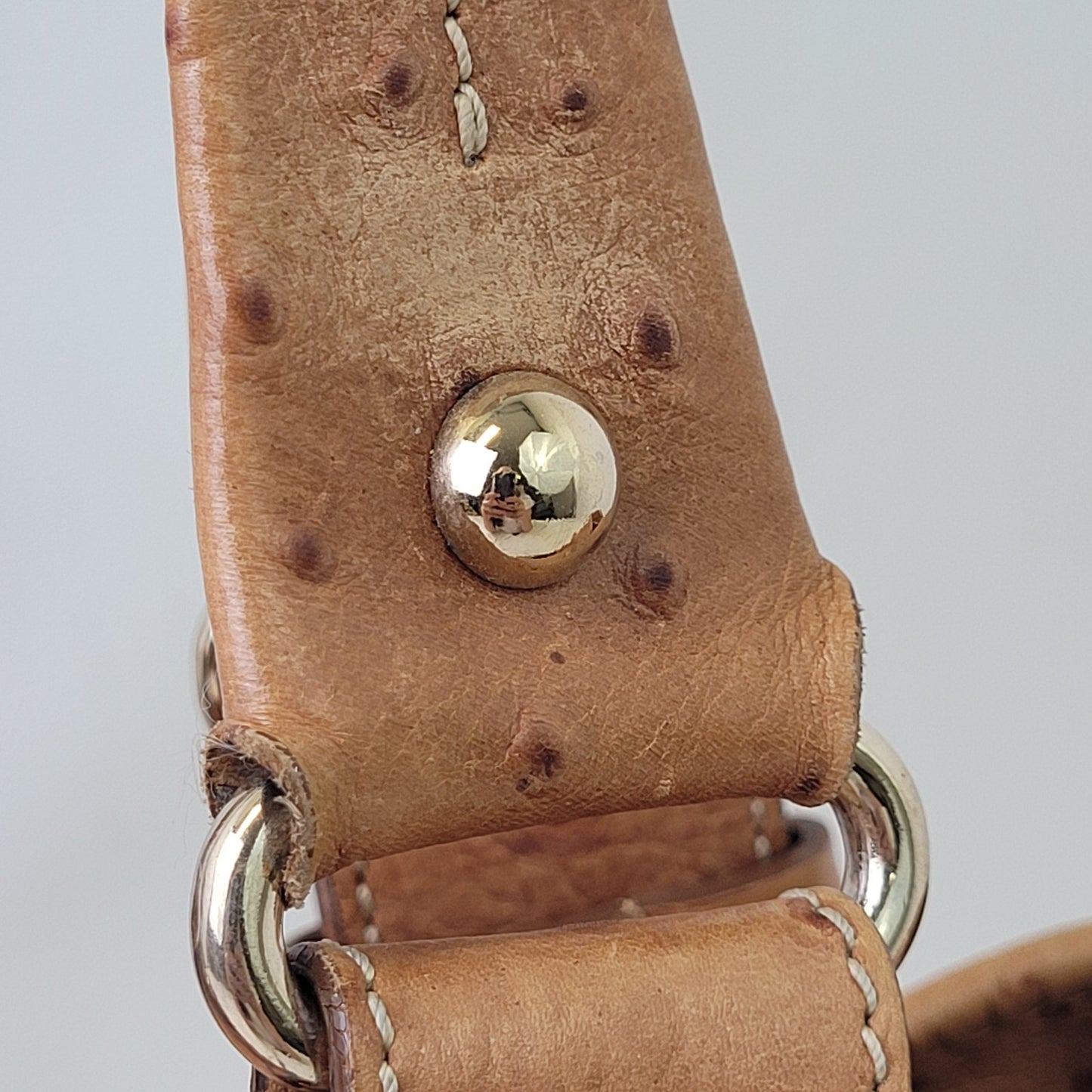Dooney & Bourke Large Satchel Brown Ostrich-Embossed Leather Gold-Tone Hardware