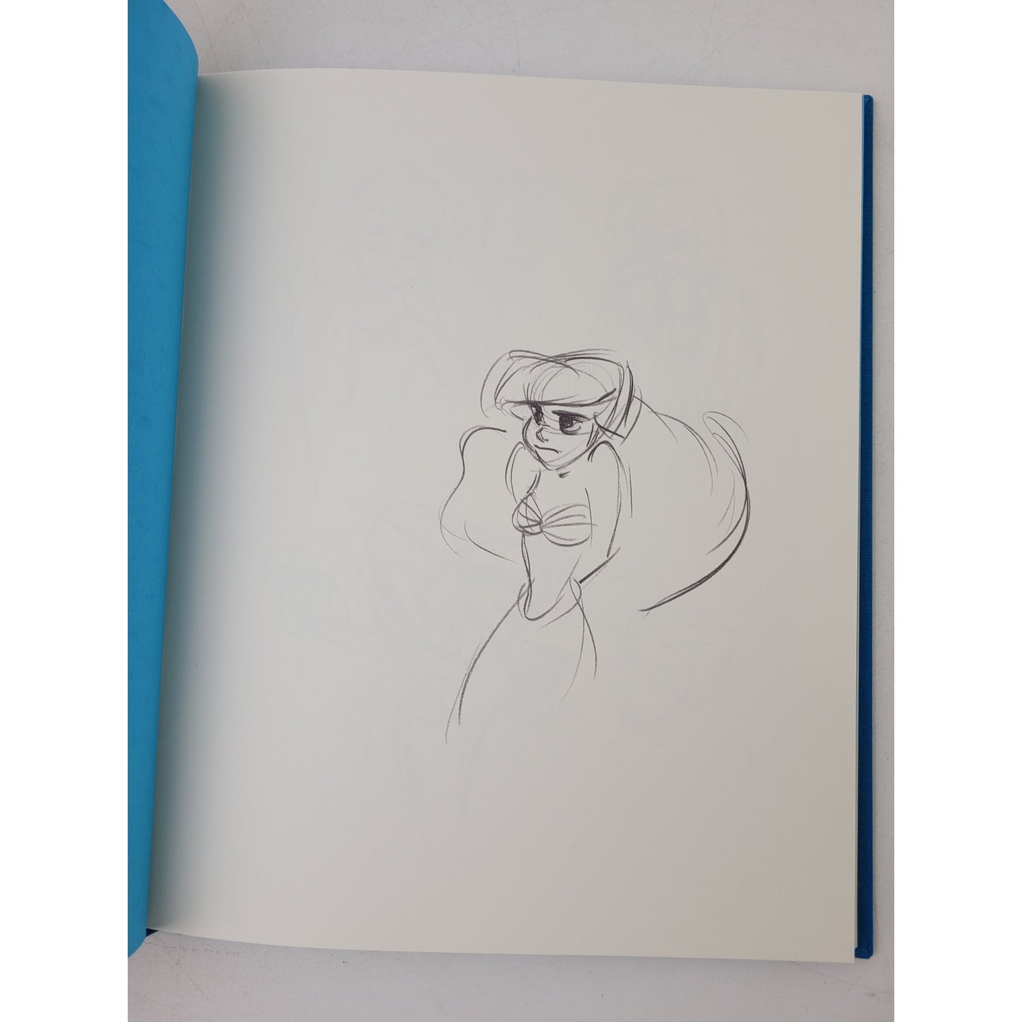 The Little Mermaid: The Sketchbook Series (Hardcover)
