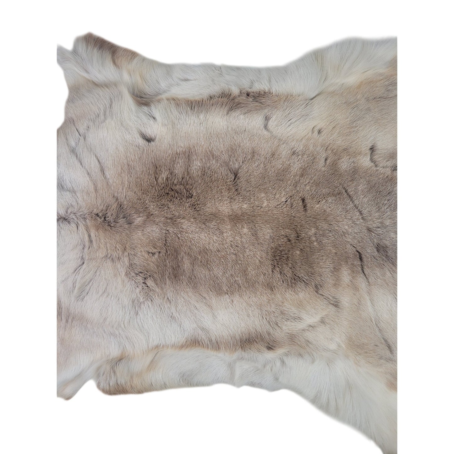 Hair On Deerskin Hide Rug Rustic Home Decor 50X43