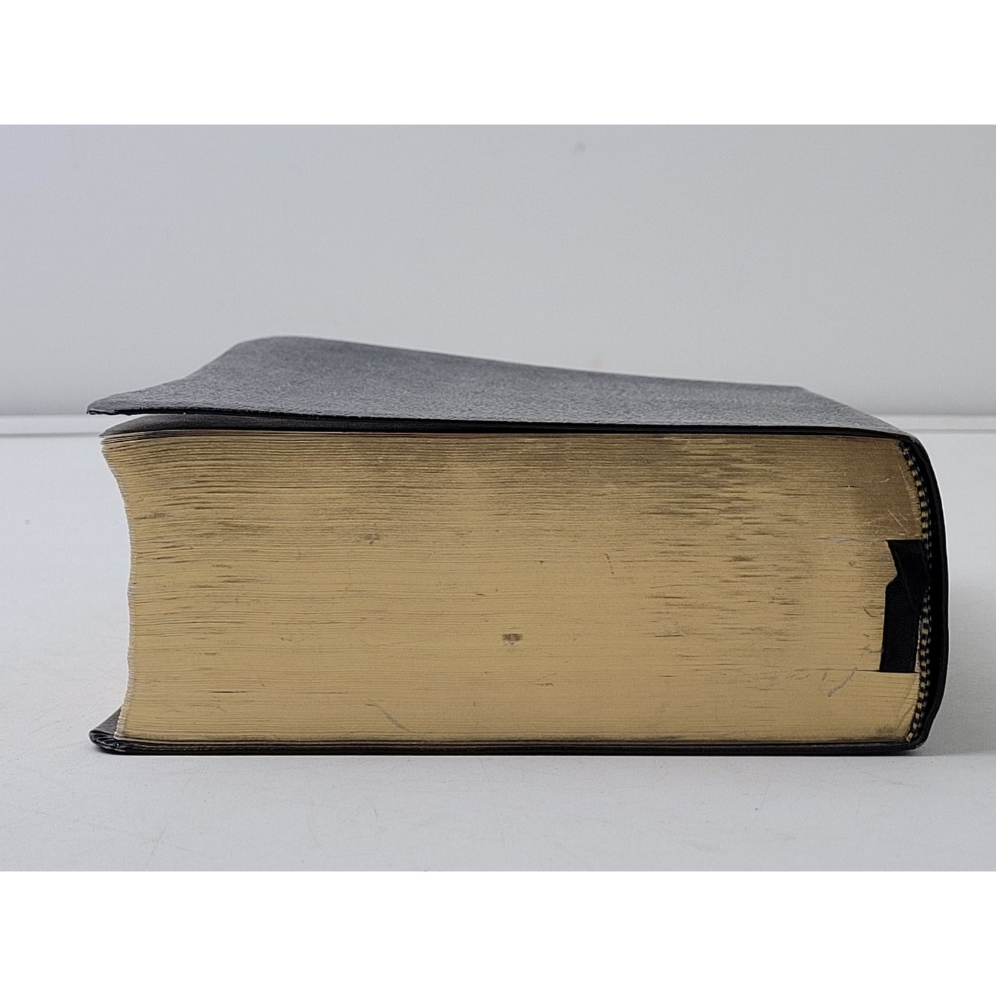 Fire Bible Global Study Edition New International Version Life Publishers 2009