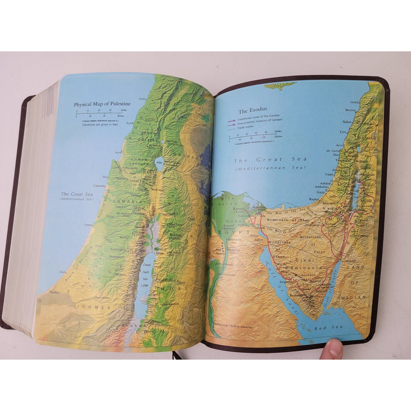 The Expositor's Study Bible Crossfire Deluxe Edition Brown Leather KJV Signed