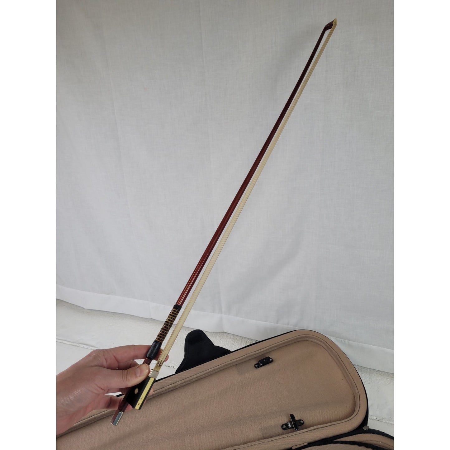 Palatino Violin, Case, & Bow VN-350 3/4 Size