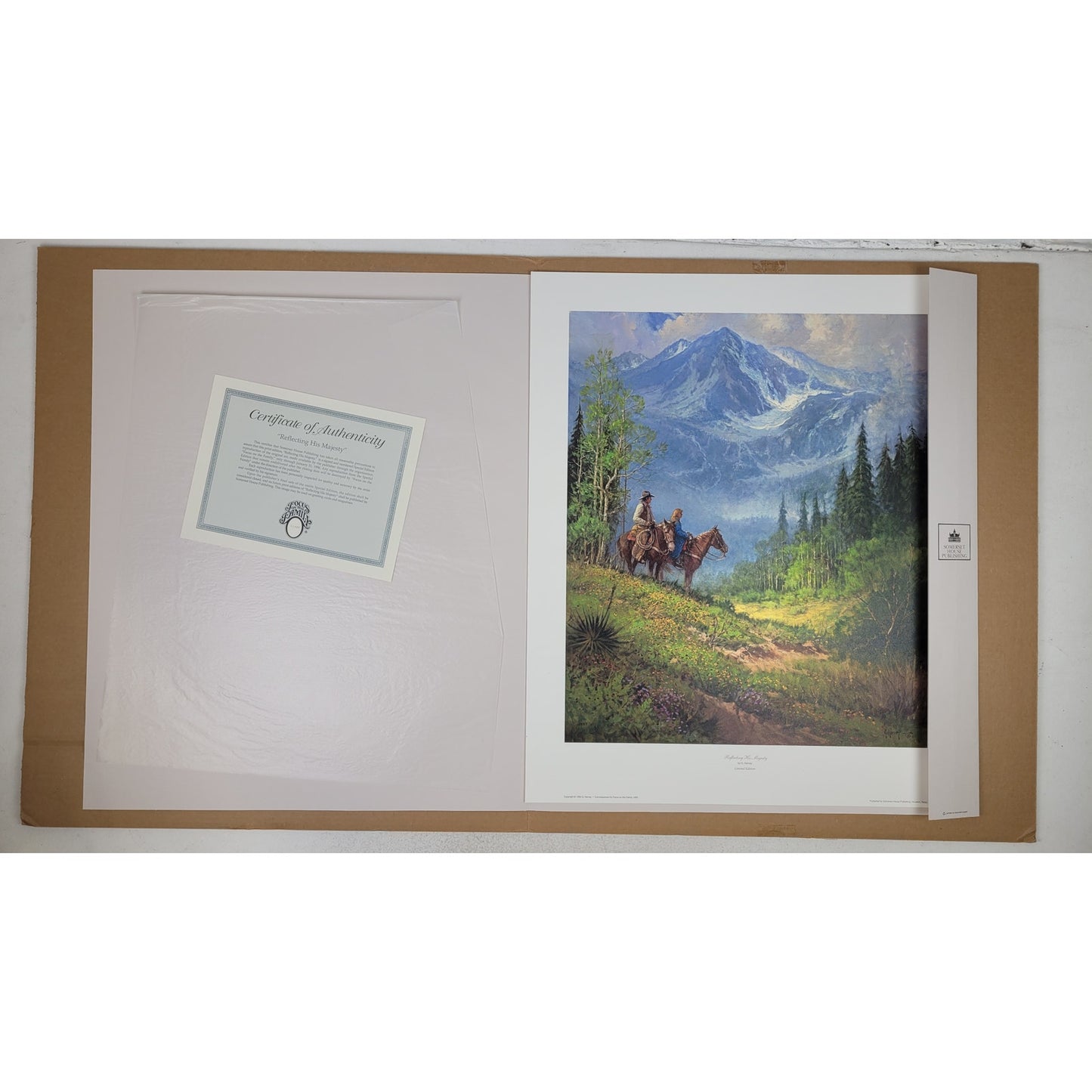 VTG 1995 G. Harvey Reflecting His Majesty Paper Art Print w COA Limited Edition
