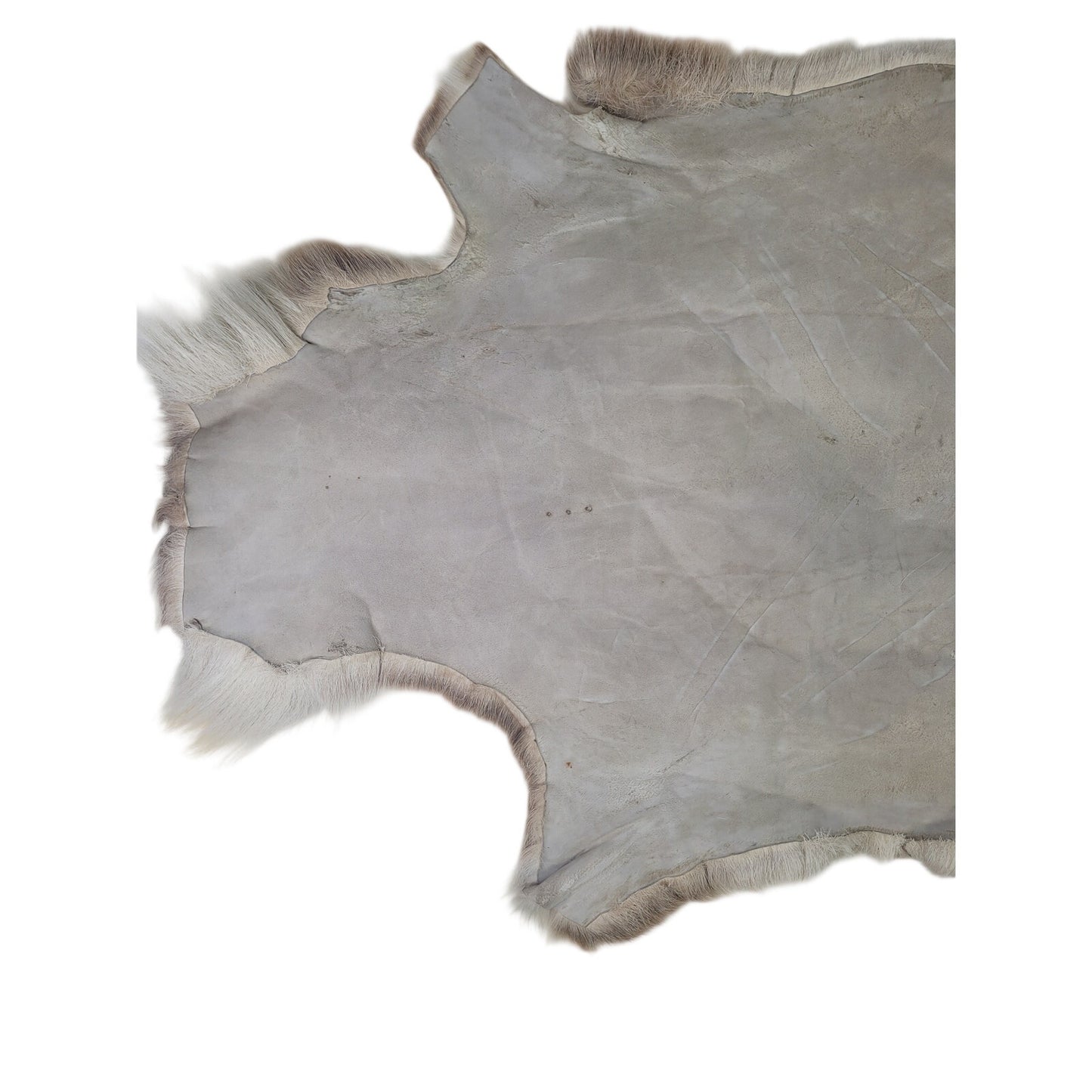 Hair On Deerskin Hide Rug Rustic Home Decor 50X43