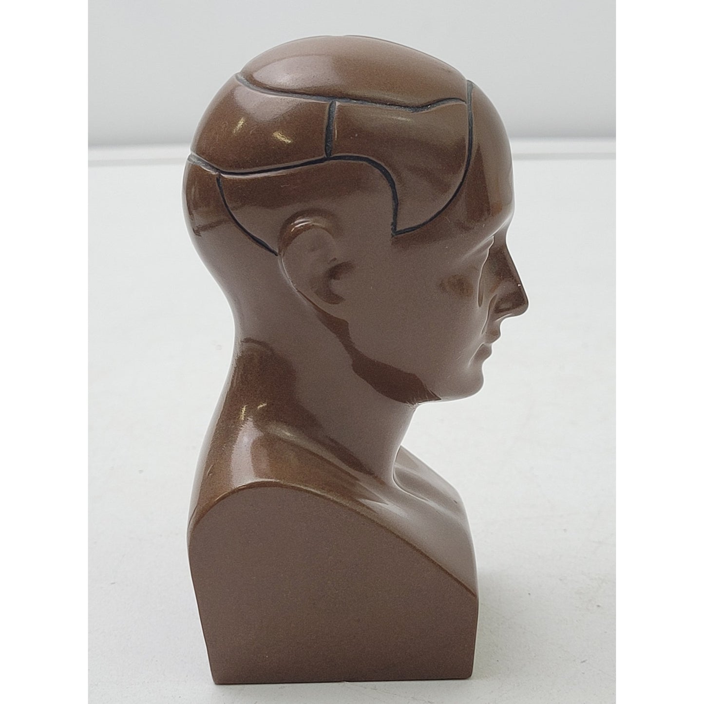 Vintage PAXIPAM Halazfpam Phrenology Head Bust Pharmaceutical Paperweight