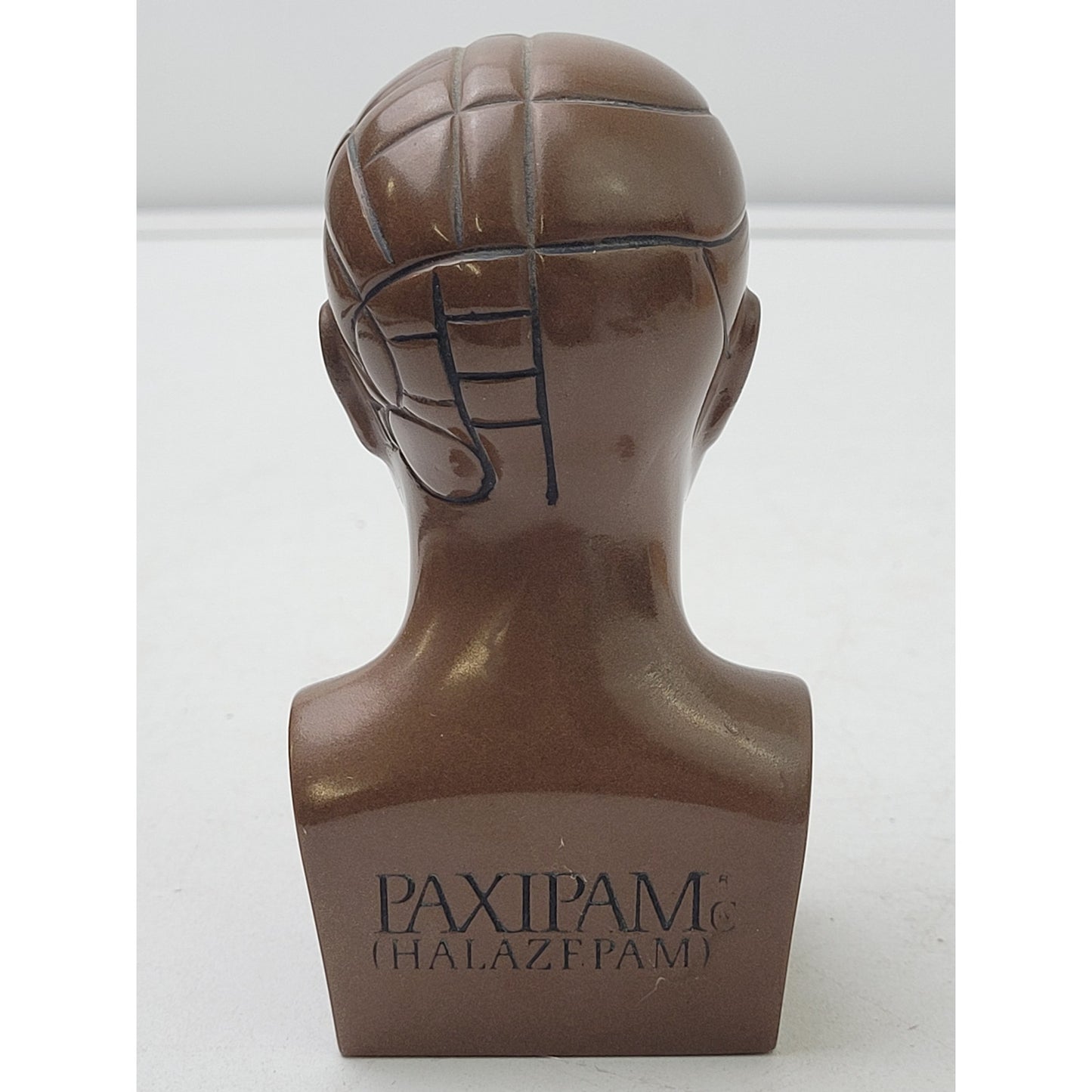 Vintage PAXIPAM Halazfpam Phrenology Head Bust Pharmaceutical Paperweight