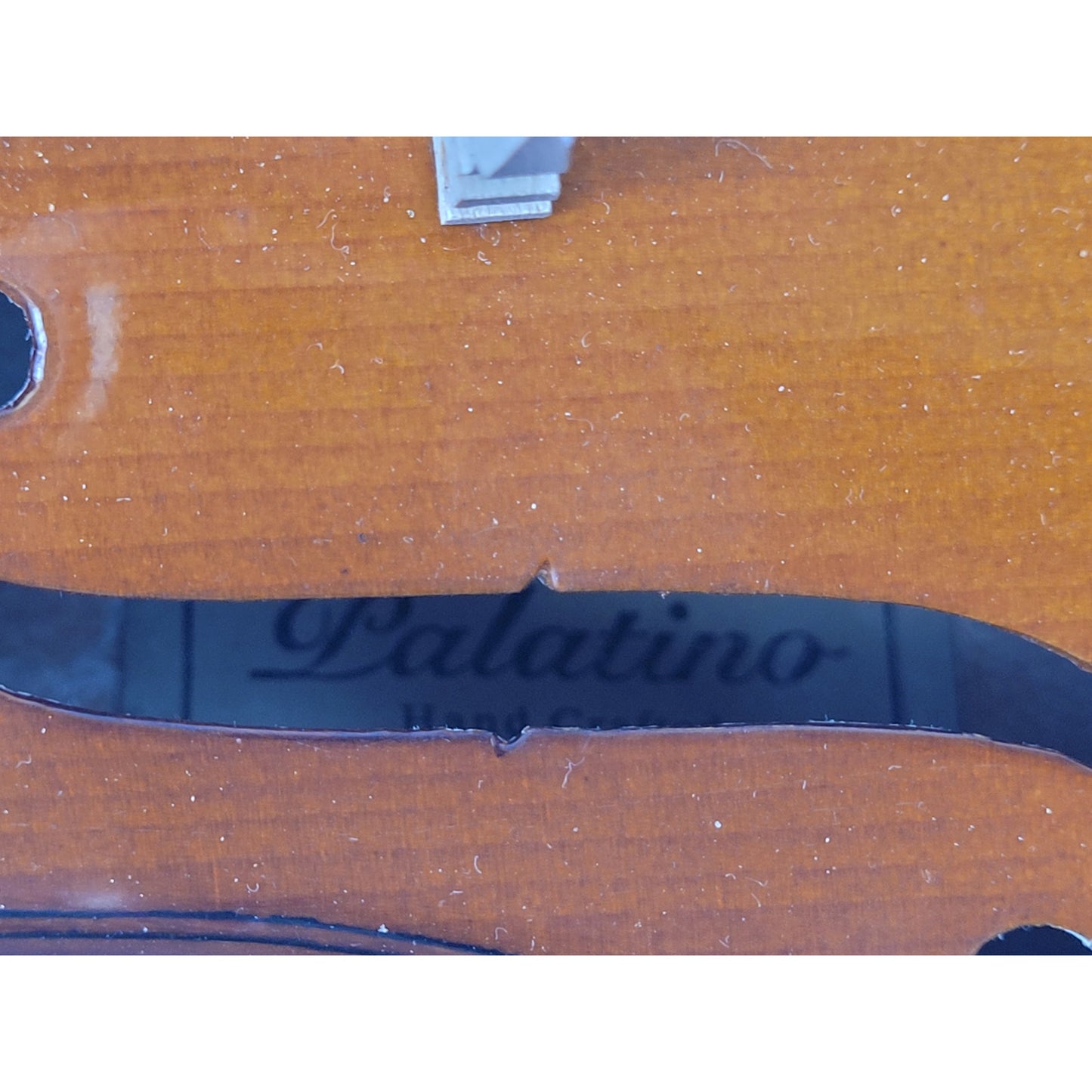 Palatino Violin, Case, & Bow VN-350 3/4 Size