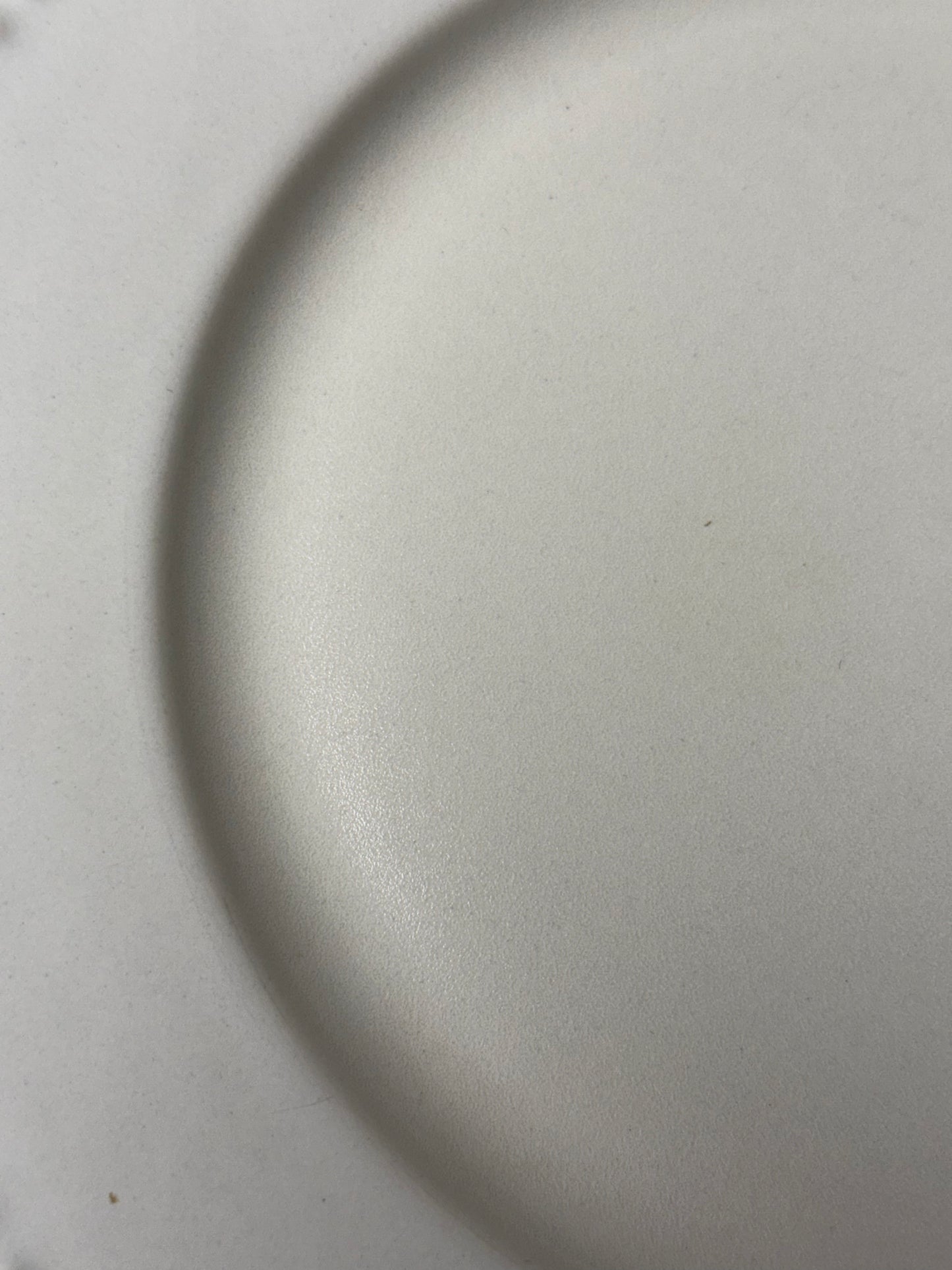 Rondure Rye Dinner Plates By Dansk Portugal  (SELLING INDIVIDUALLY)