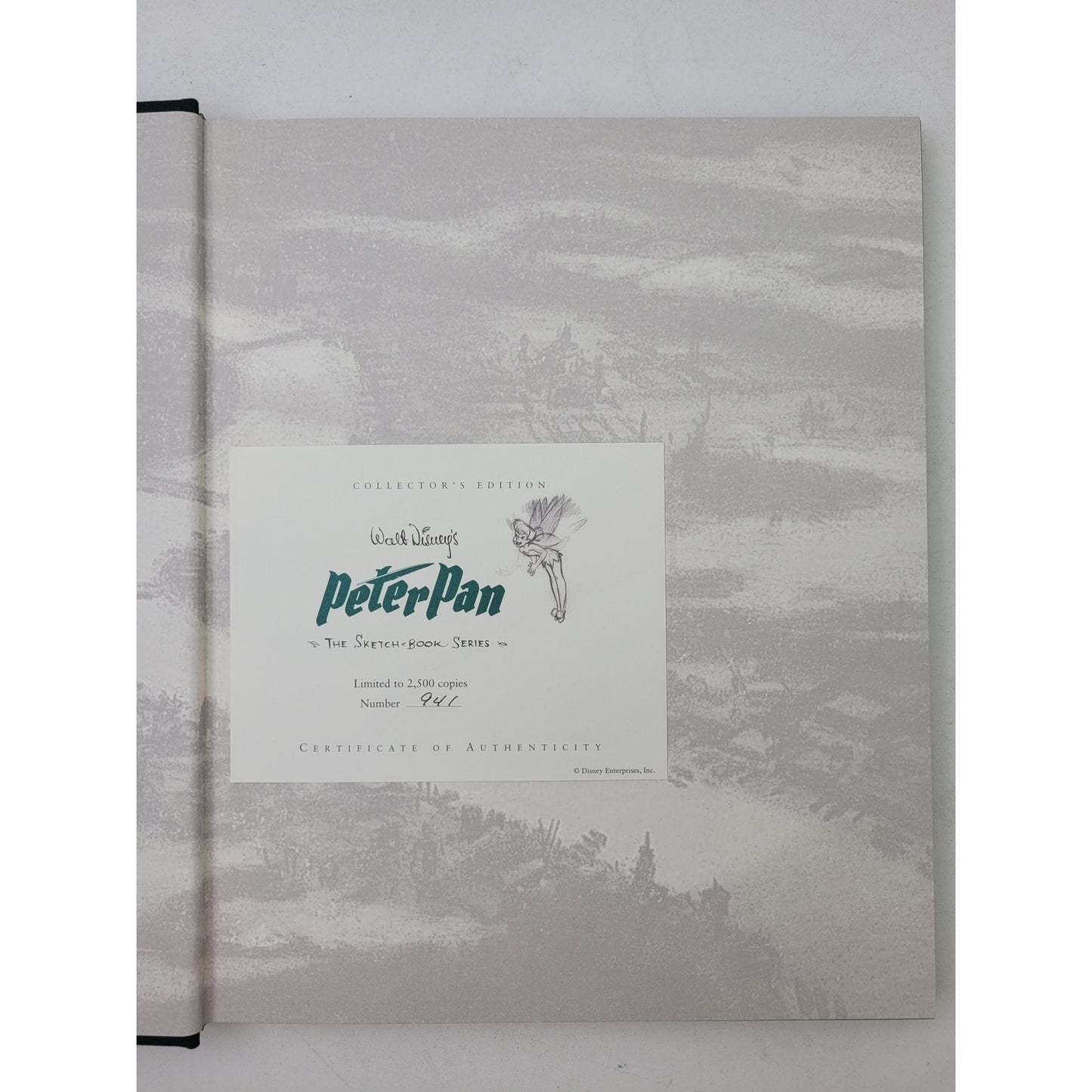 Walt Disney's Peter Pan: The Sketchbook Series (Hardcover)