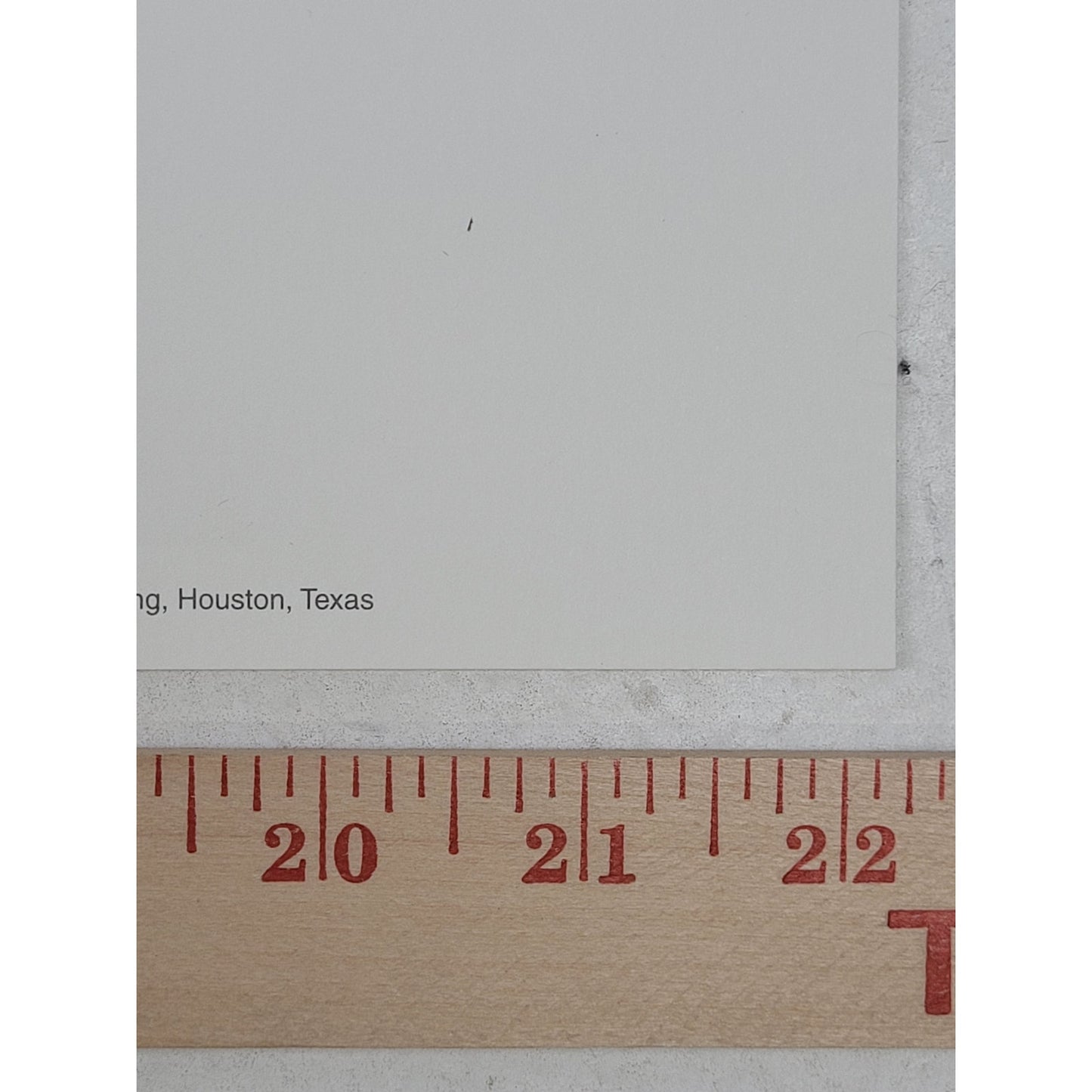 VTG 1995 G. Harvey Reflecting His Majesty Paper Art Print w COA Limited Edition