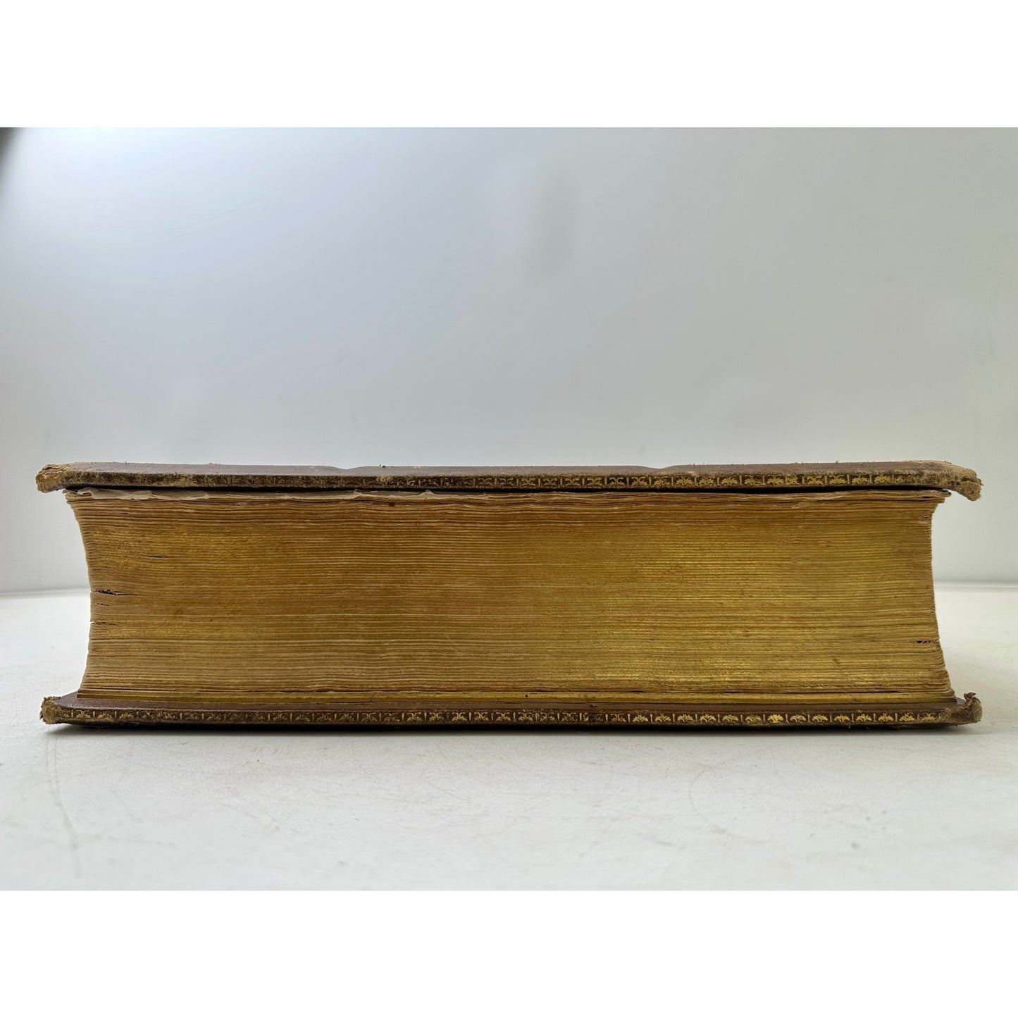 Antique 1870s Leather Pictorial Family Bible Gilt Embossed John 5:39 Cover Folio