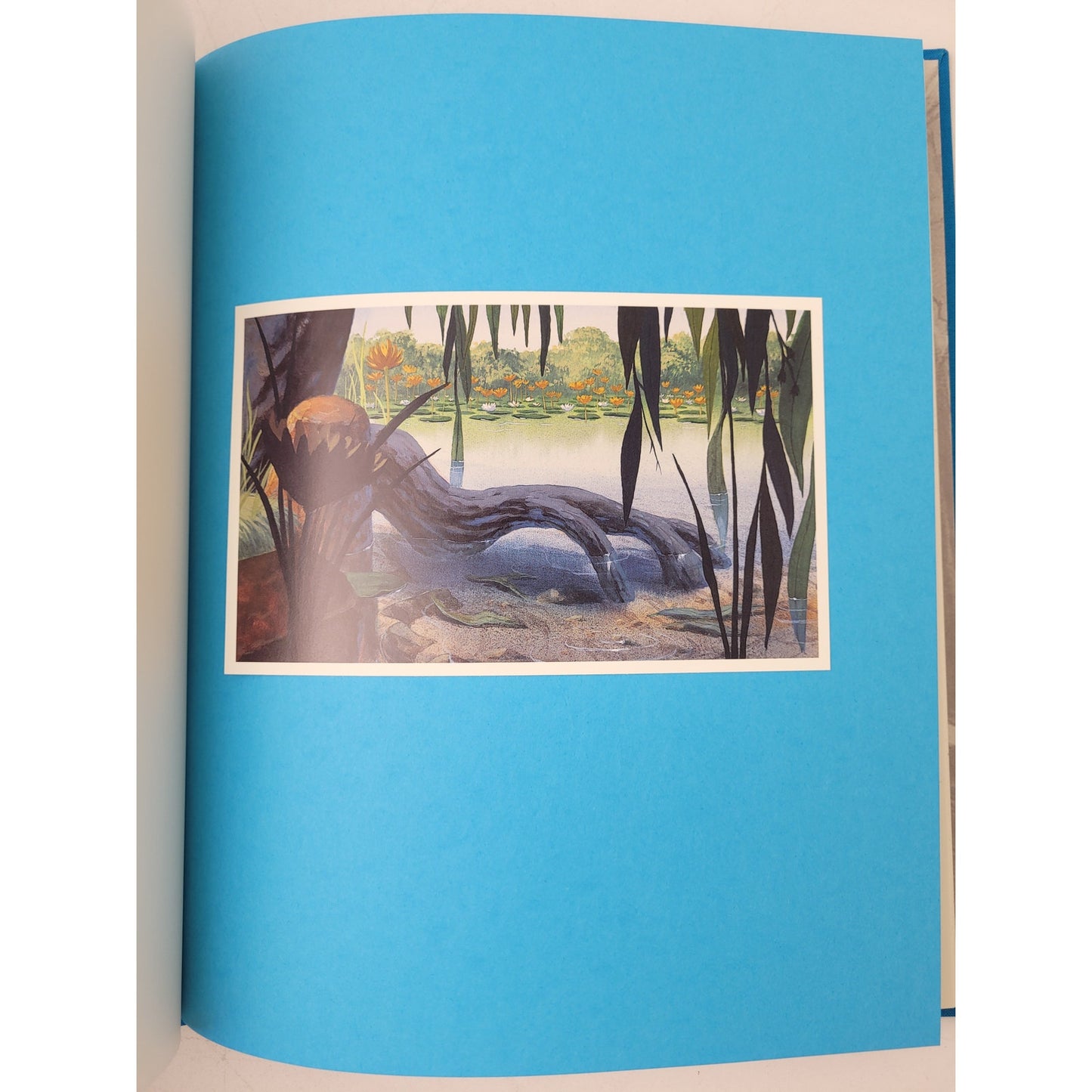 The Little Mermaid: The Sketchbook Series (Hardcover)