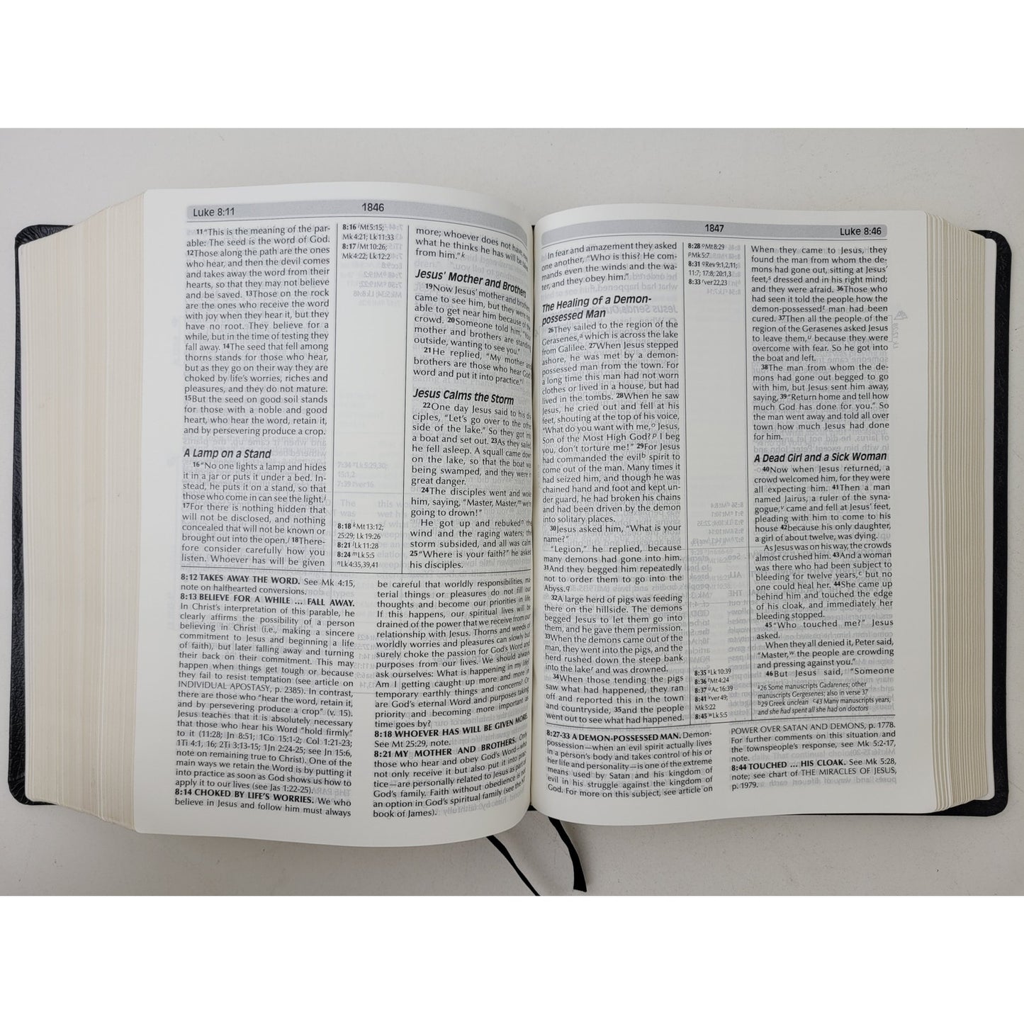 Fire Bible Global Study Edition New International Version Life Publishers 2009