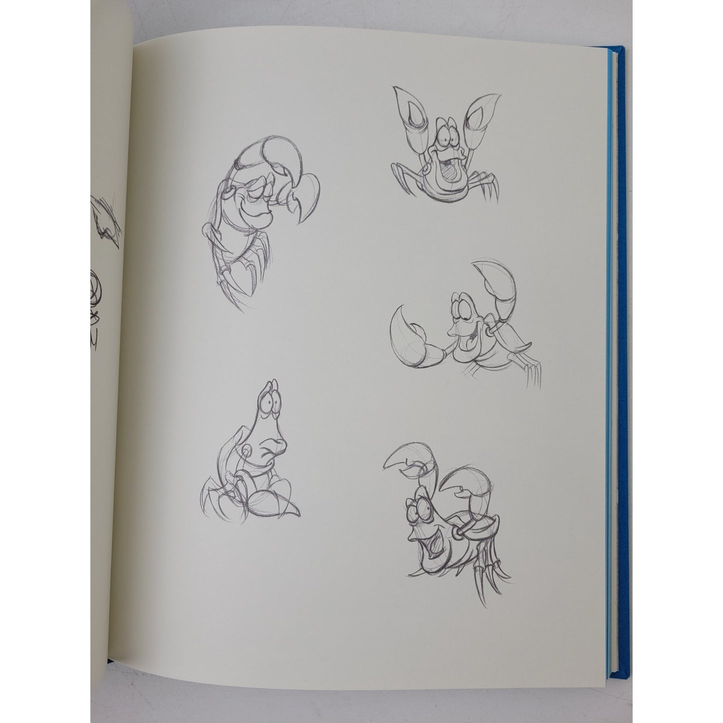 The Little Mermaid: The Sketchbook Series (Hardcover)