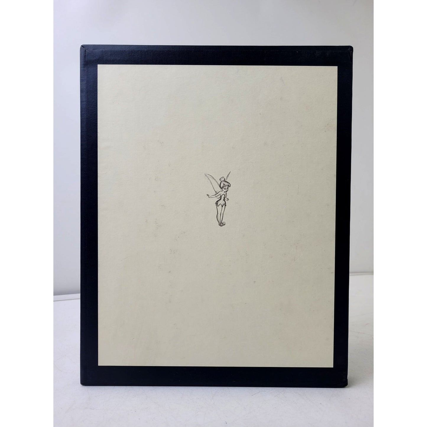 Walt Disney's Peter Pan: The Sketchbook Series (Hardcover)