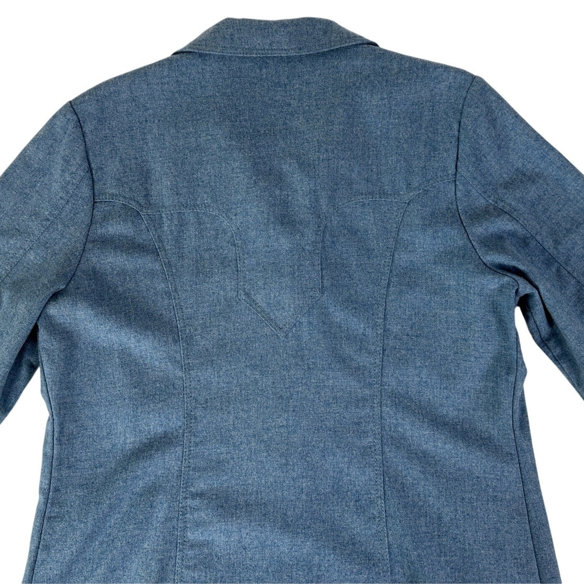 Pendleton Blue 100% Virgin Wool Western Shirt Women's Sz L