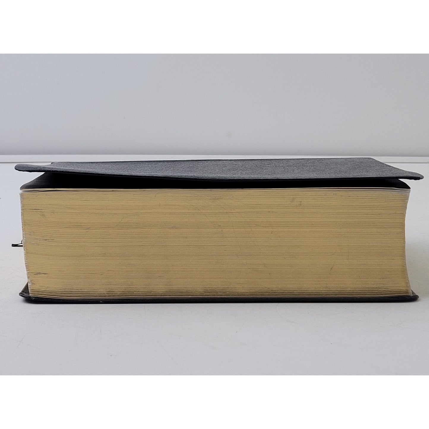 Fire Bible Global Study Edition New International Version Life Publishers 2009